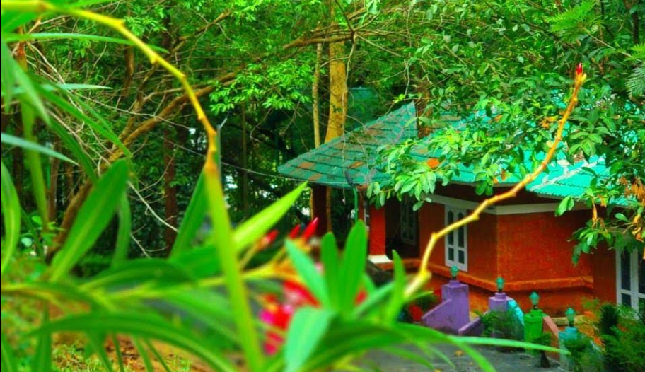 Treetop Resort Silent Valley